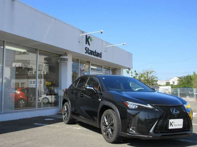 TOYOTA LEXUS UX200 2018 Image 31