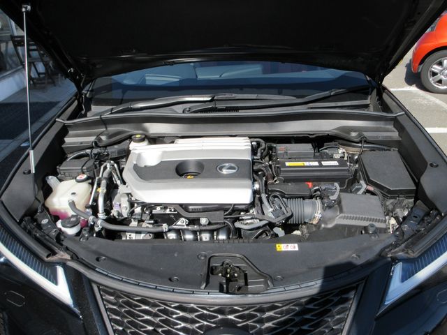 TOYOTA LEXUS UX200 2018 Image 31