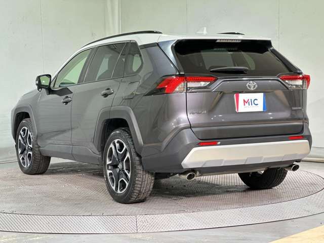TOYOTA RAV4 4WD 2019 Image 31