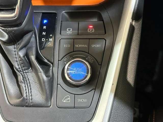 TOYOTA RAV4 4WD 2019 Image 31