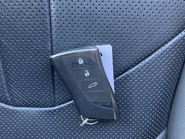 TOYOTA LEXUS NX450H+ AWD 2022 Image 31