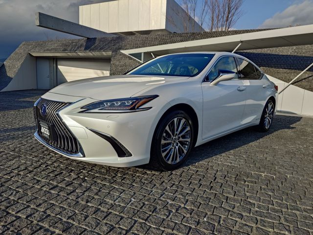 TOYOTA LEXUS ES300H 2019 Image 31