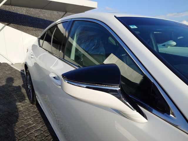 TOYOTA LEXUS ES300H 2019 Image 31