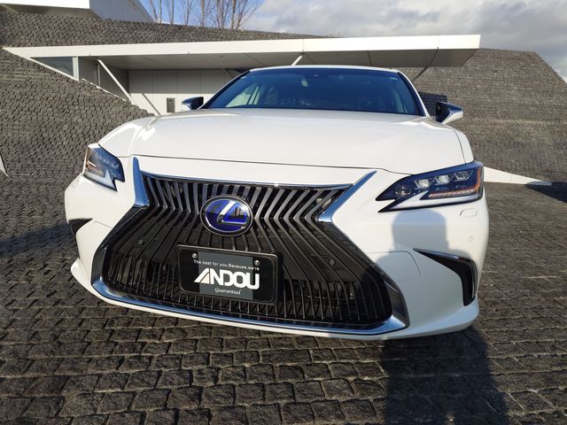TOYOTA LEXUS ES300H 2019 Image 31