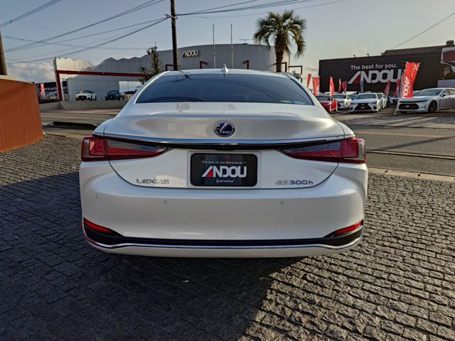 TOYOTA LEXUS ES300H 2019 Image 31