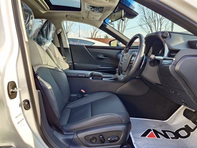 TOYOTA LEXUS ES300H 2019 Image 31