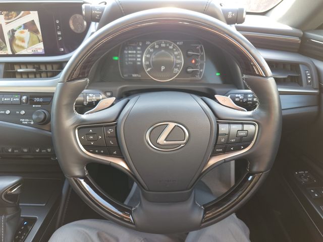 TOYOTA LEXUS ES300H 2019 Image 31