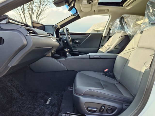 TOYOTA LEXUS ES300H 2019 Image 31