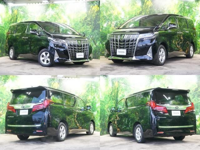 TOYOTA ALPHARD 2018 Image 31