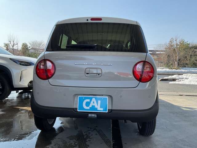 SUZUKI ALTO LAPIN 2025 Image 31