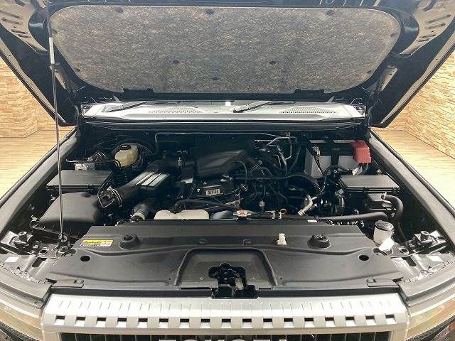 TOYOTA LANDCRUISER 250 2024 Image 31