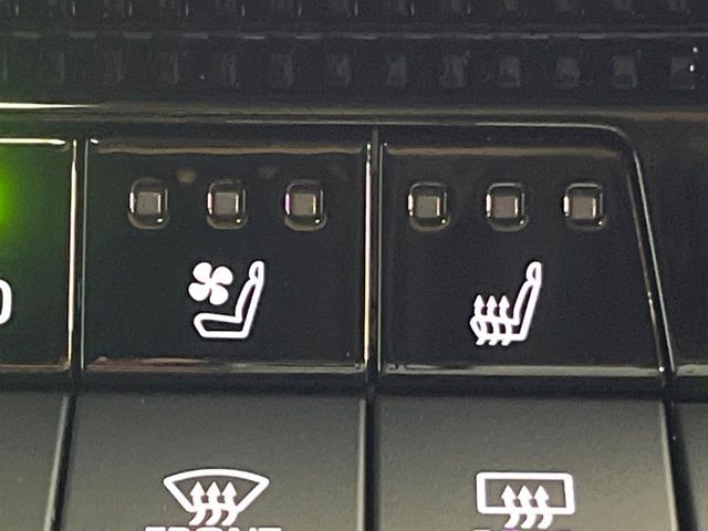 TOYOTA LANDCRUISER 250 2024 Image 31