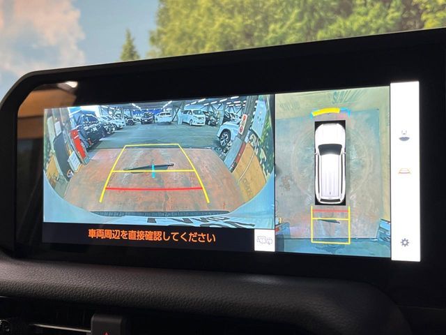 TOYOTA LANDCRUISER 250 2025 Image 31