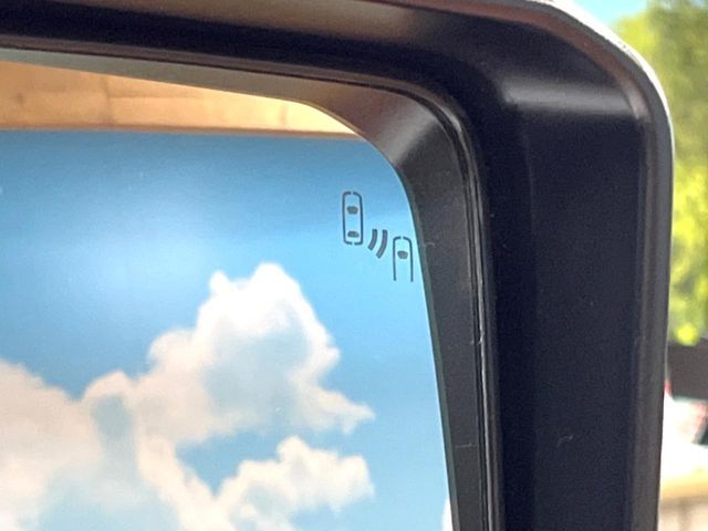 TOYOTA LANDCRUISER 250 2025 Image 31