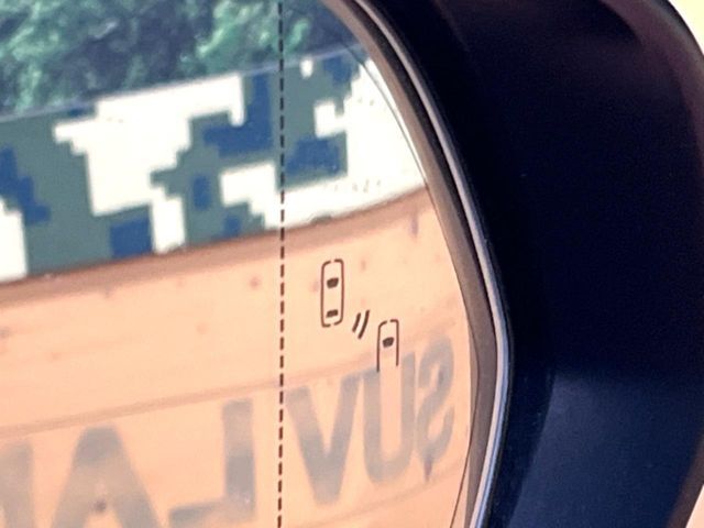 TOYOTA LEXUS RX300 2020 Image 31