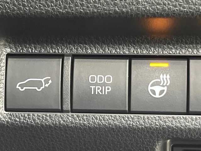 TOYOTA RAV4 4WD 2023 Image 31