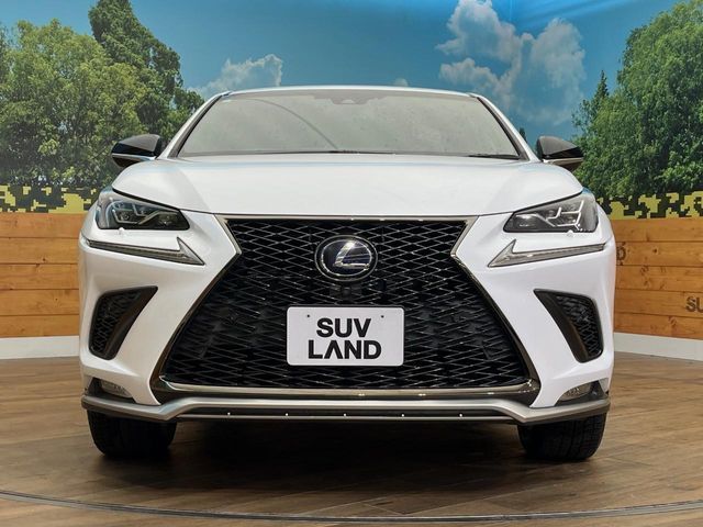TOYOTA LEXUS NX300H AWD 2019 Image 31