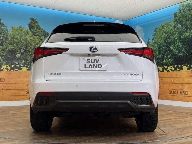 TOYOTA LEXUS NX300H AWD 2019 Image 31