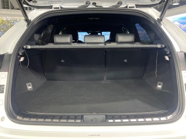 TOYOTA LEXUS NX300 2018 Image 31