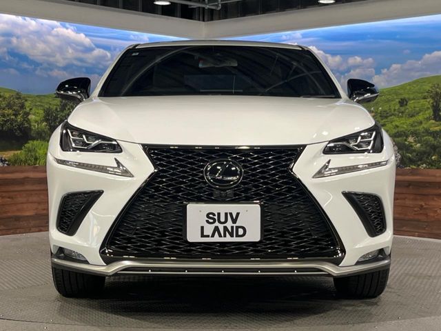TOYOTA LEXUS NX300 2018 Image 31