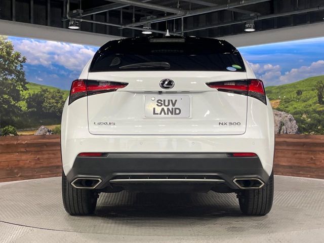 TOYOTA LEXUS NX300 2018 Image 31