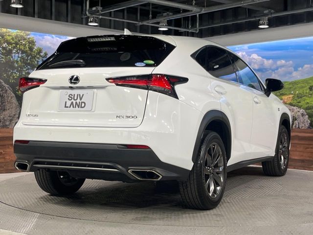 TOYOTA LEXUS NX300 2018 Image 31