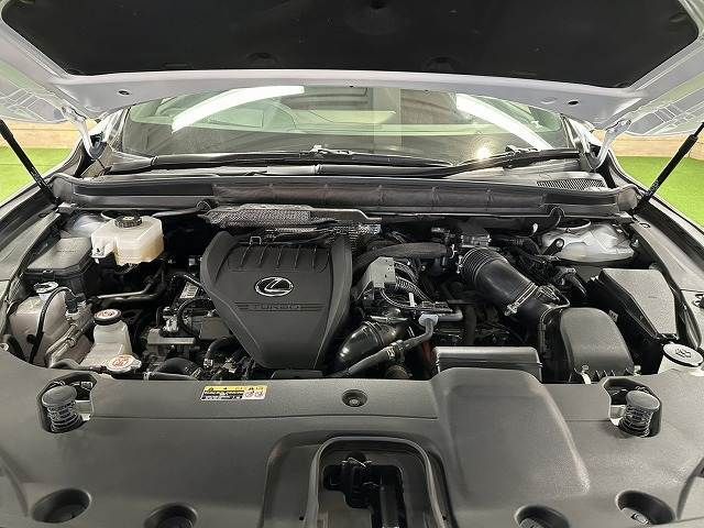 TOYOTA LEXUS RX500H 2023 Image 31