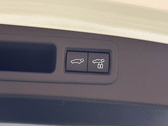 TOYOTA LEXUS RX500H 2023 Image 31