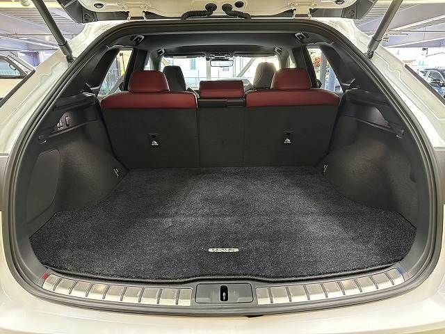 TOYOTA LEXUS RX500H 2023 Image 31