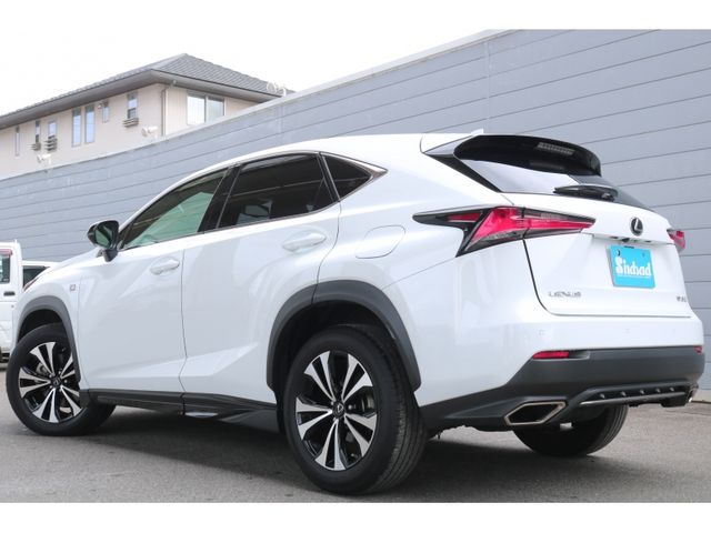 TOYOTA LEXUS NX300 2020 Image 31