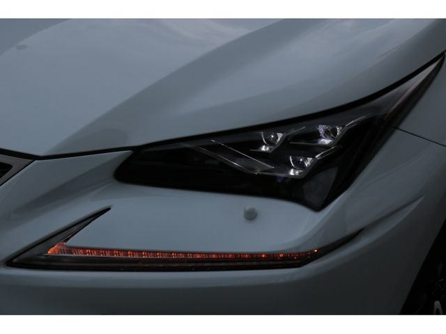 TOYOTA LEXUS NX300 2020 Image 31