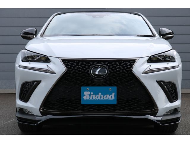 TOYOTA LEXUS NX300 2020 Image 31