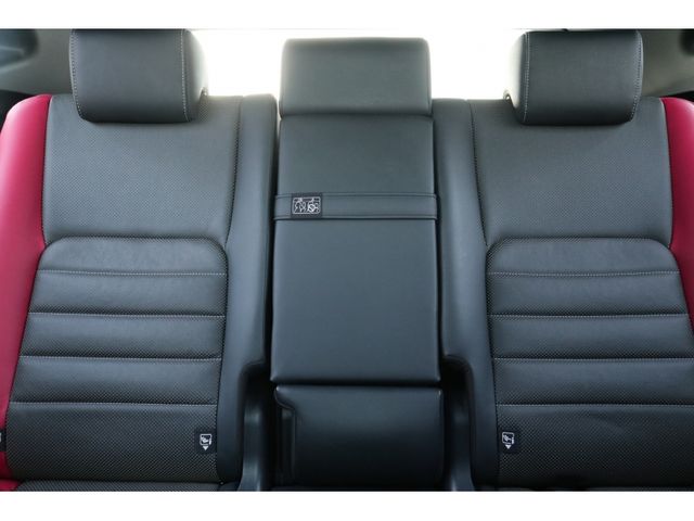 TOYOTA LEXUS NX300 2020 Image 31