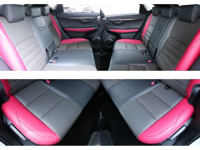 TOYOTA LEXUS NX300 2020 Image 31