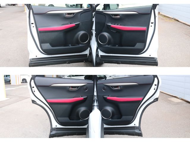 TOYOTA LEXUS NX300 2020 Image 31