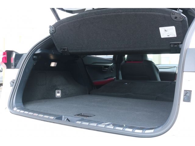 TOYOTA LEXUS NX300 2020 Image 31