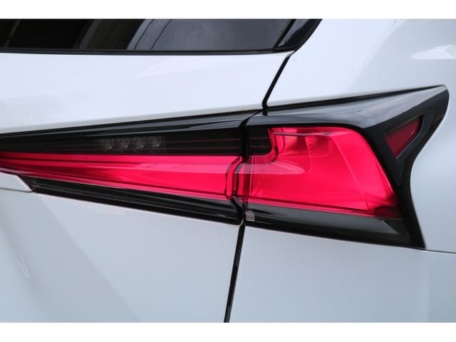 TOYOTA LEXUS NX300 2020 Image 31