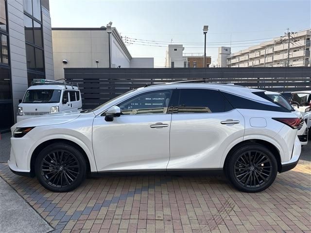 TOYOTA LEXUS RX350H 2023 Image 31