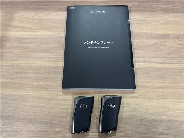 TOYOTA LEXUS RX350H 2023 Image 31