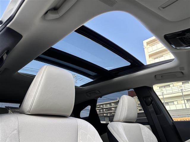 TOYOTA LEXUS RX350H 2023 Image 31