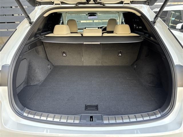 TOYOTA LEXUS RX350H 2023 Image 31