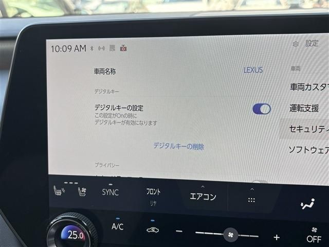 TOYOTA LEXUS RX350H 2023 Image 31