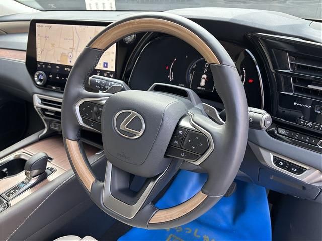 TOYOTA LEXUS RX350H 2023 Image 31