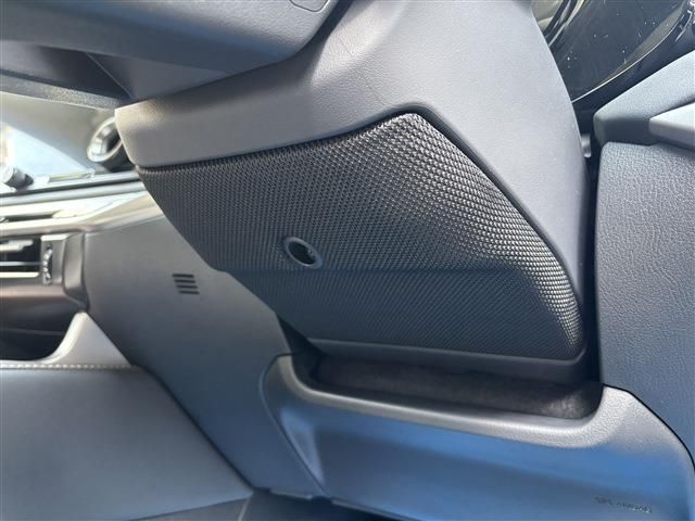 TOYOTA LEXUS RX350H 2023 Image 31