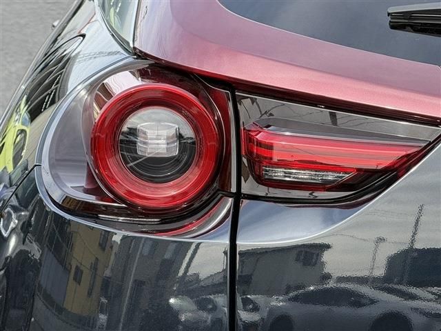 MAZDA MX-30 ROTARY-EV 2023 Image 31