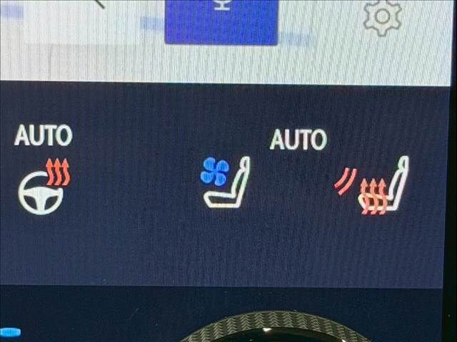 TOYOTA LEXUS RX500H 2023 Image 31