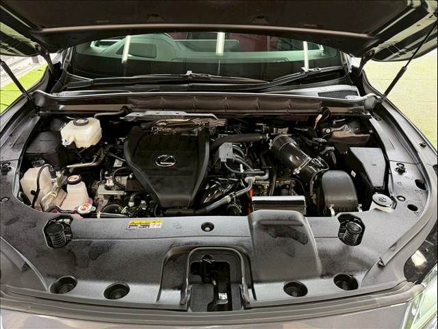 TOYOTA LEXUS RX500H 2023 Image 31