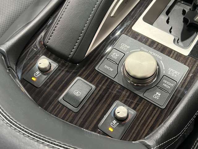 TOYOTA LEXUS LS600H 2016 Image 31