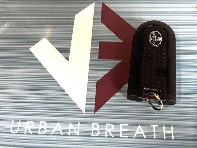 TOYOTA TANK 2019 Image 31