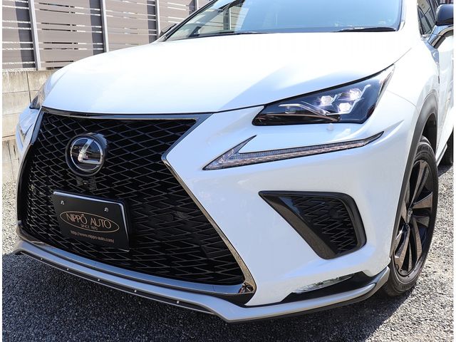 TOYOTA LEXUS NX300H 2020 Image 31